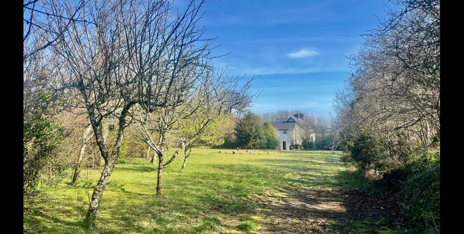 4/5 bedroom semi-detached house with 3/4 acre garden