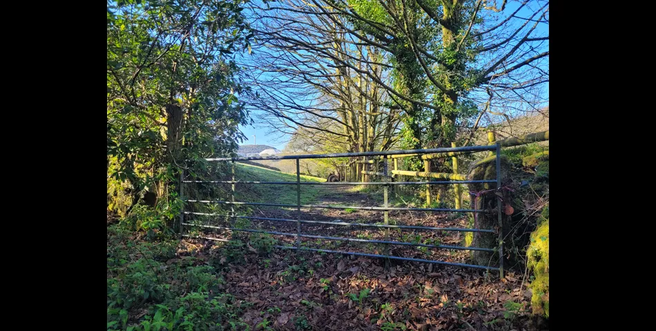 3 Acres of Land with Stone Building & Metal Shelter