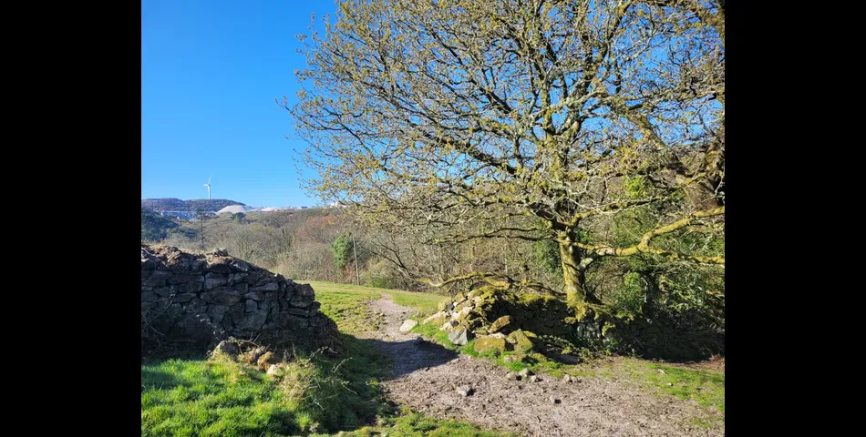 3 Acres of Land with Stone Building & Metal Shelter