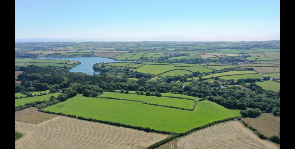 Residential and Agricultural Investmest Opportunity
