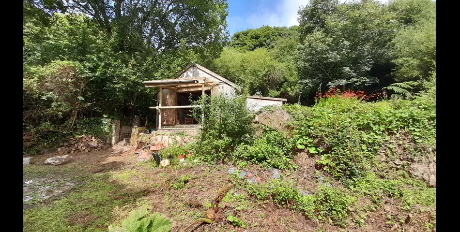 1 Acre of Woodland & Studio