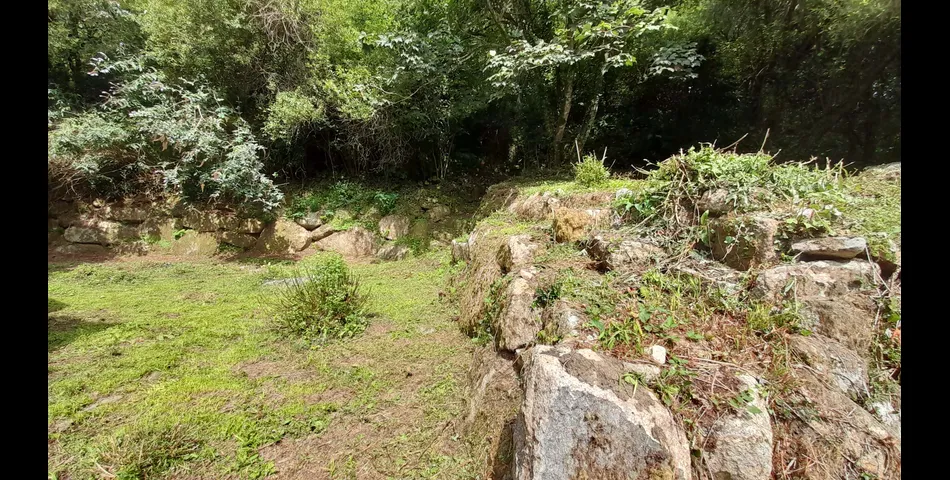 1 Acre of Woodland & Studio