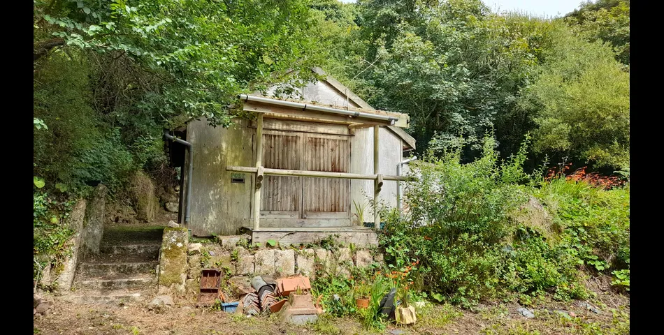1 Acre of Woodland & Studio