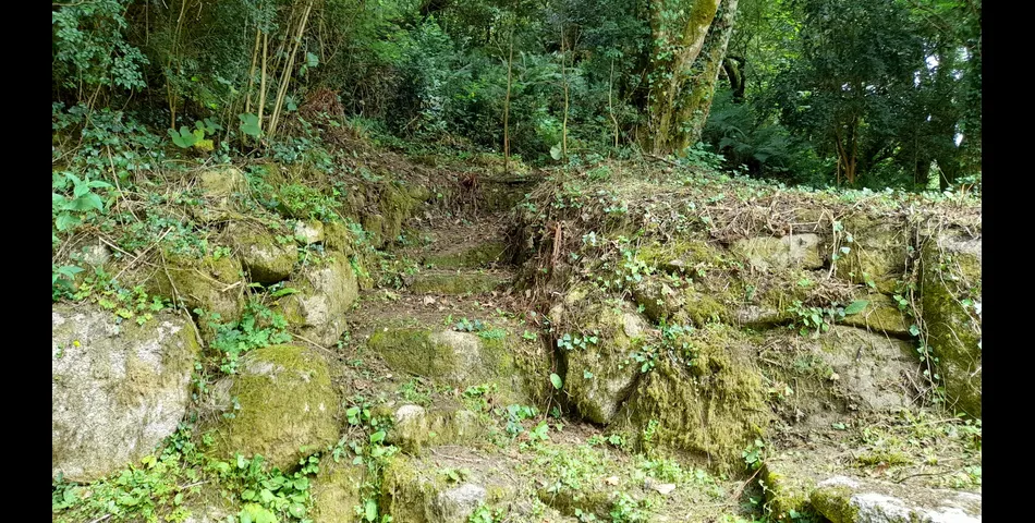 1 Acre of Woodland & Studio