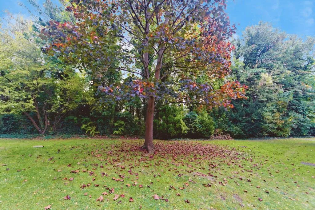 2 bed Block of Apartments