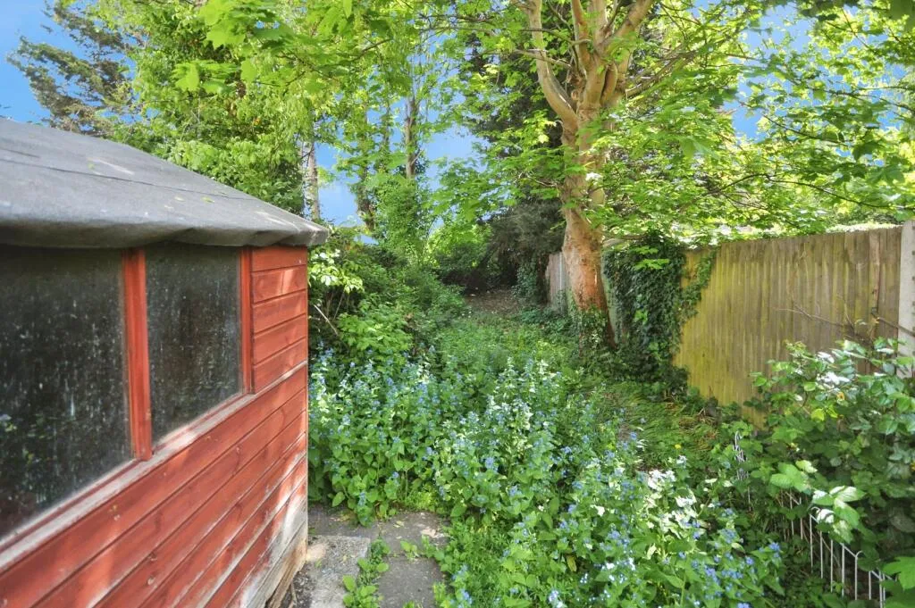 3 bed Semi-Detached