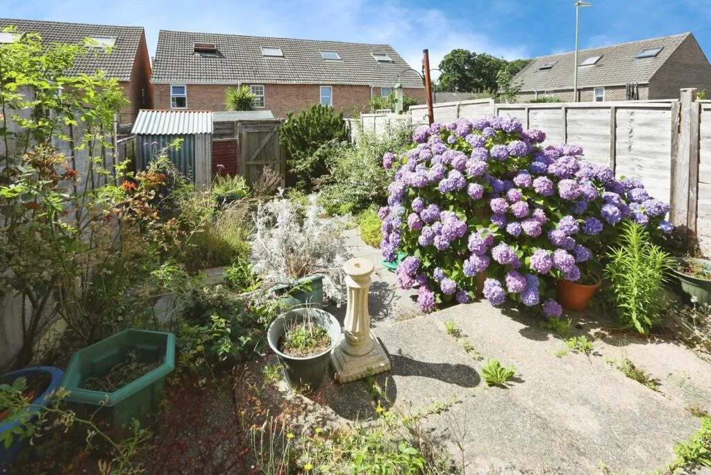 3 bed Semi-Detached