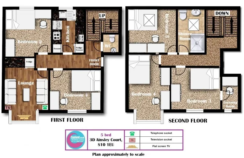 3A B C & D Ainsley Court, Ainsley Road, Crookes, Sheffield, South Yorkshire, S10 1EU