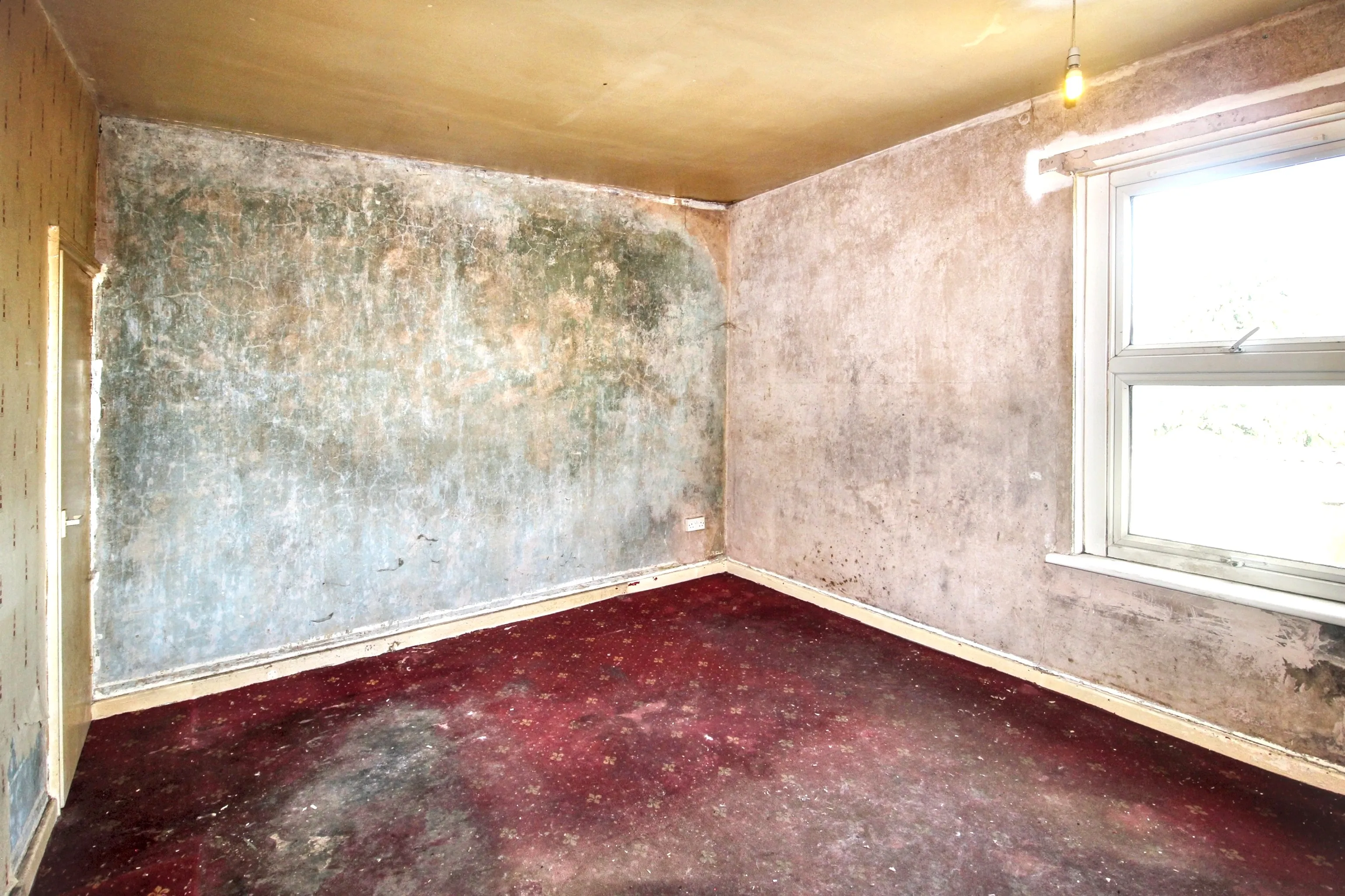 Beech Street, Barnsley, S70 4HT