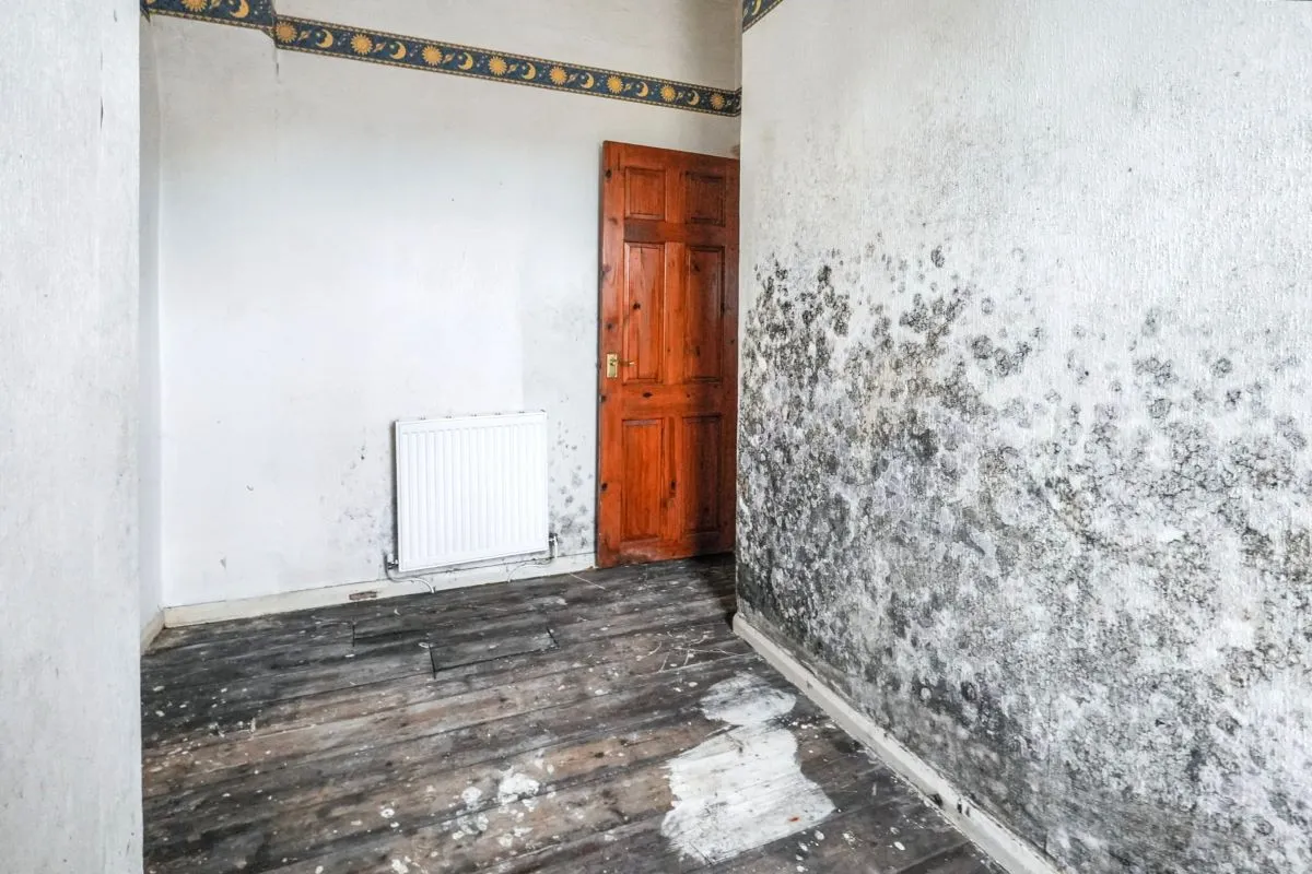 Lucerne Road, Wallasey, CH44 7HA