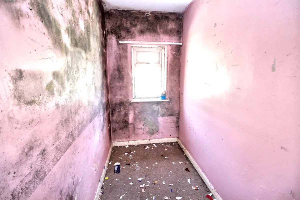 Online Property Auction in London: Church Street, Paddock, Huddersfield, HD1 4UD | Auction ends 17/09/2025, a Guide Price of £20,000+.