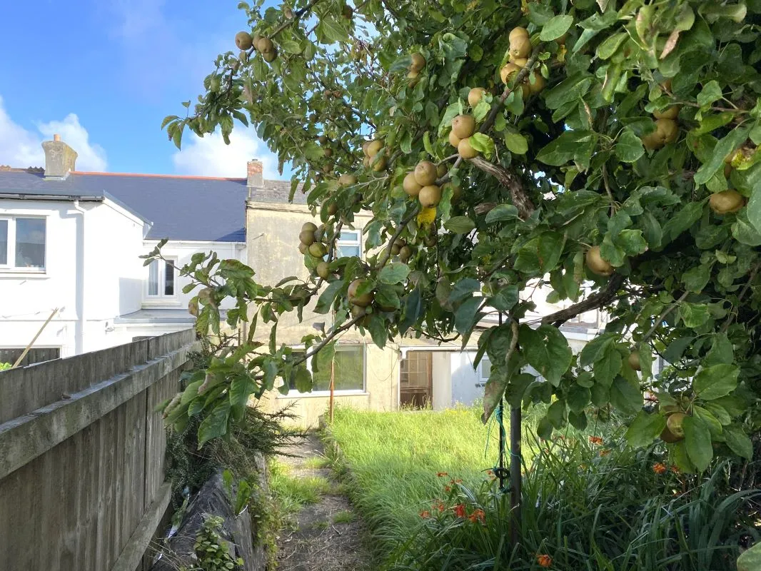 New Street, Troon, Camborne, TR14 9EW