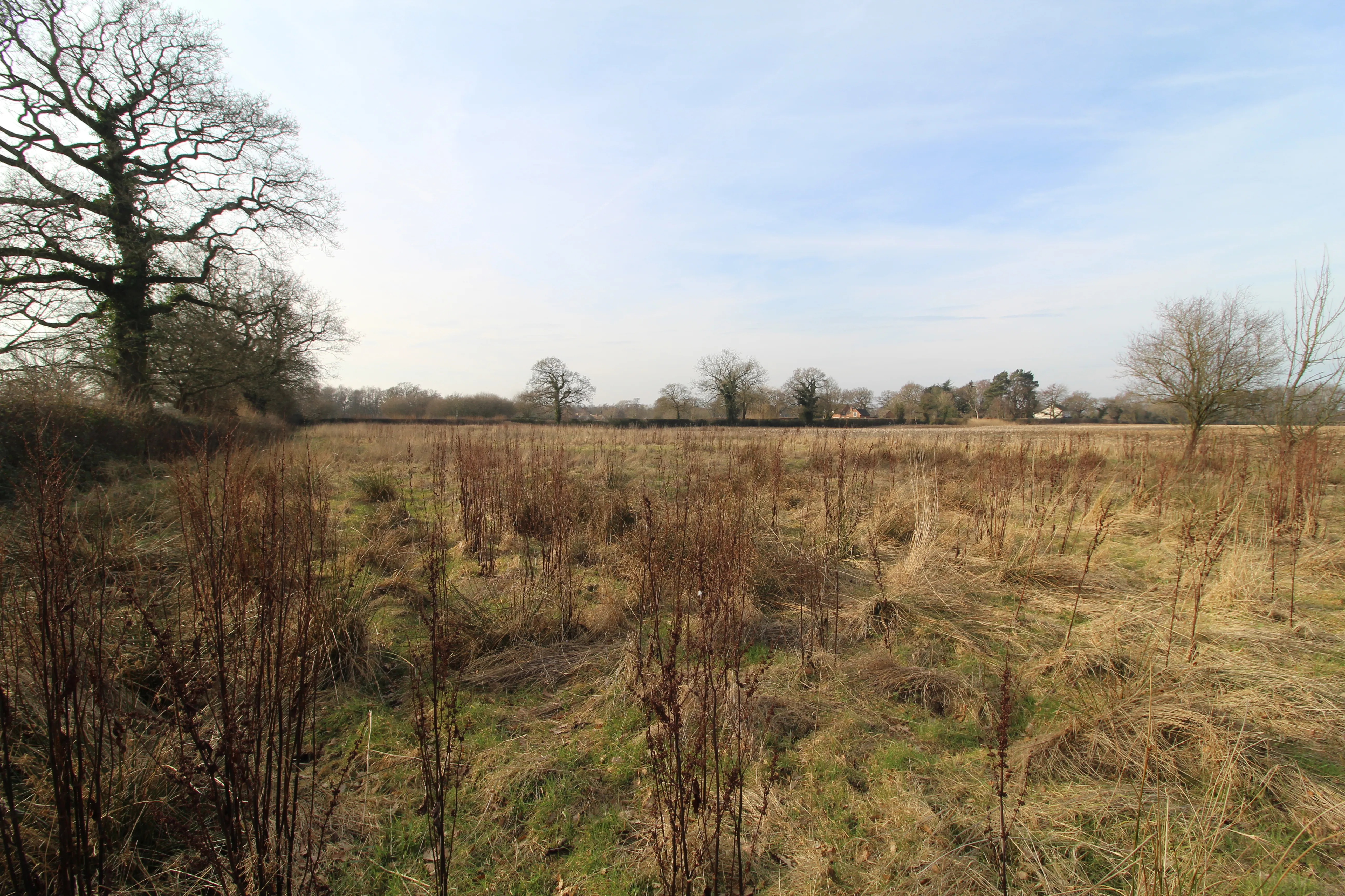 Land on Mill Lane, Lower Peover, Knutsford
