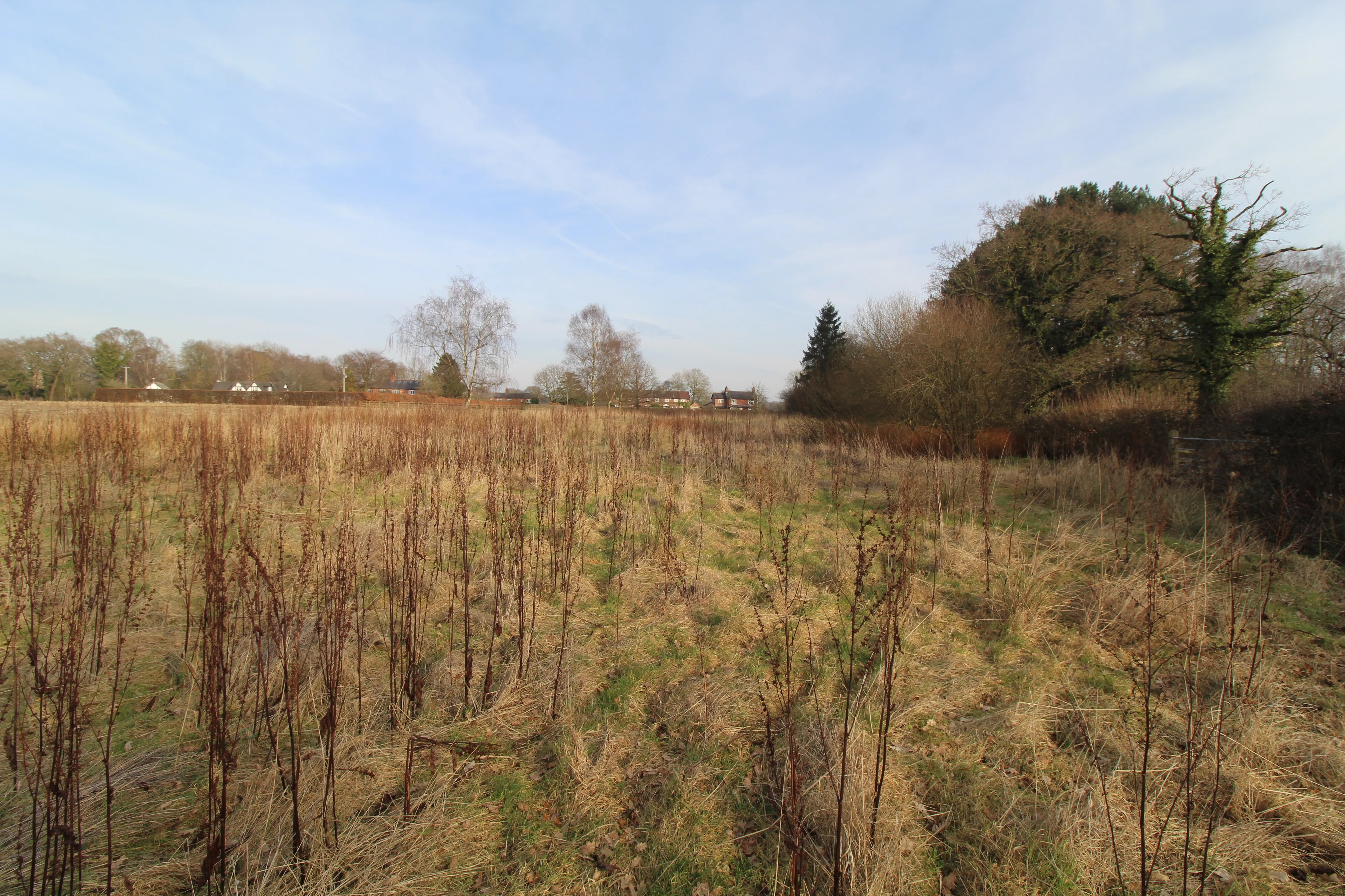 Land on Mill Lane, Lower Peover, Knutsford