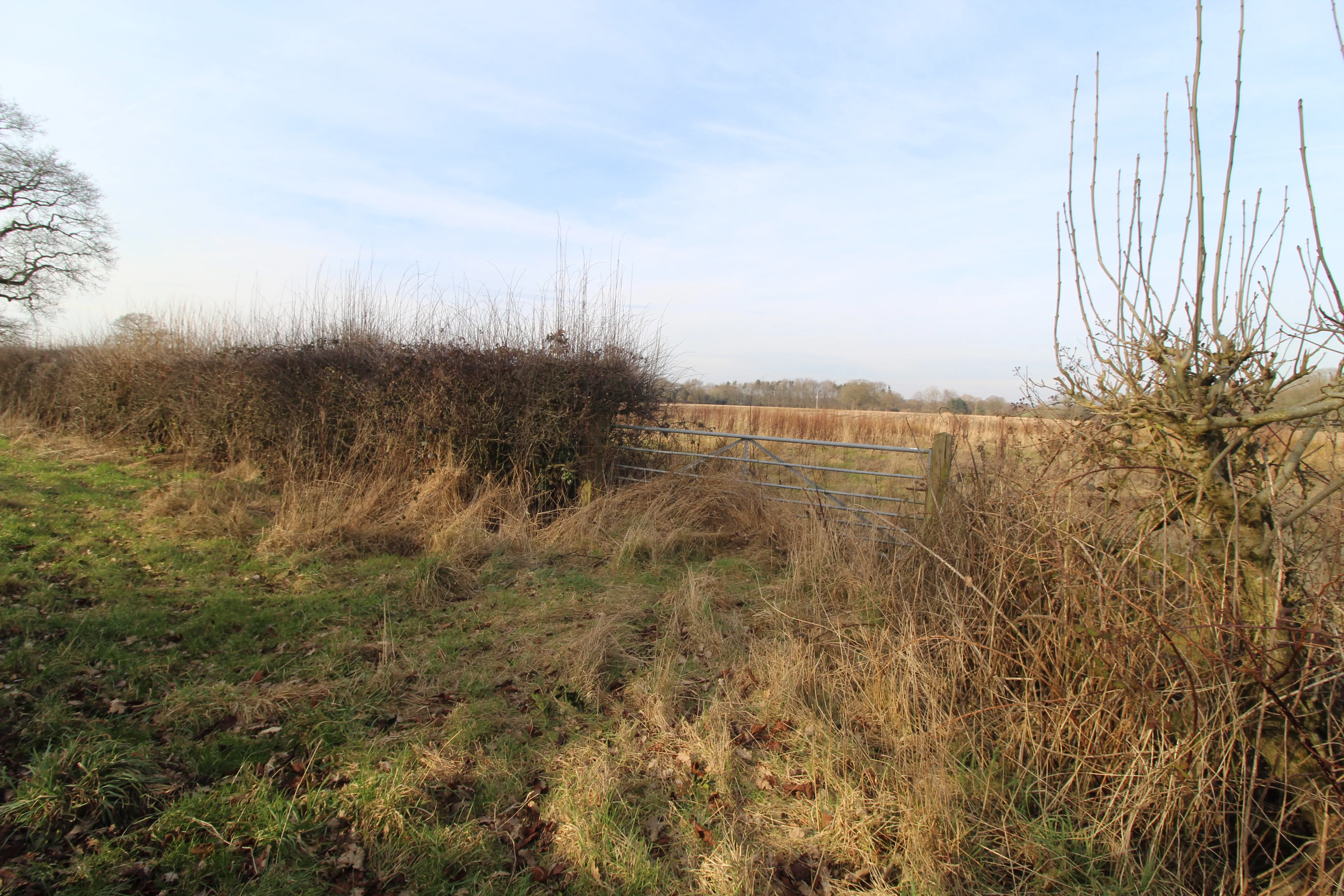 Land on Mill Lane, Lower Peover, Knutsford