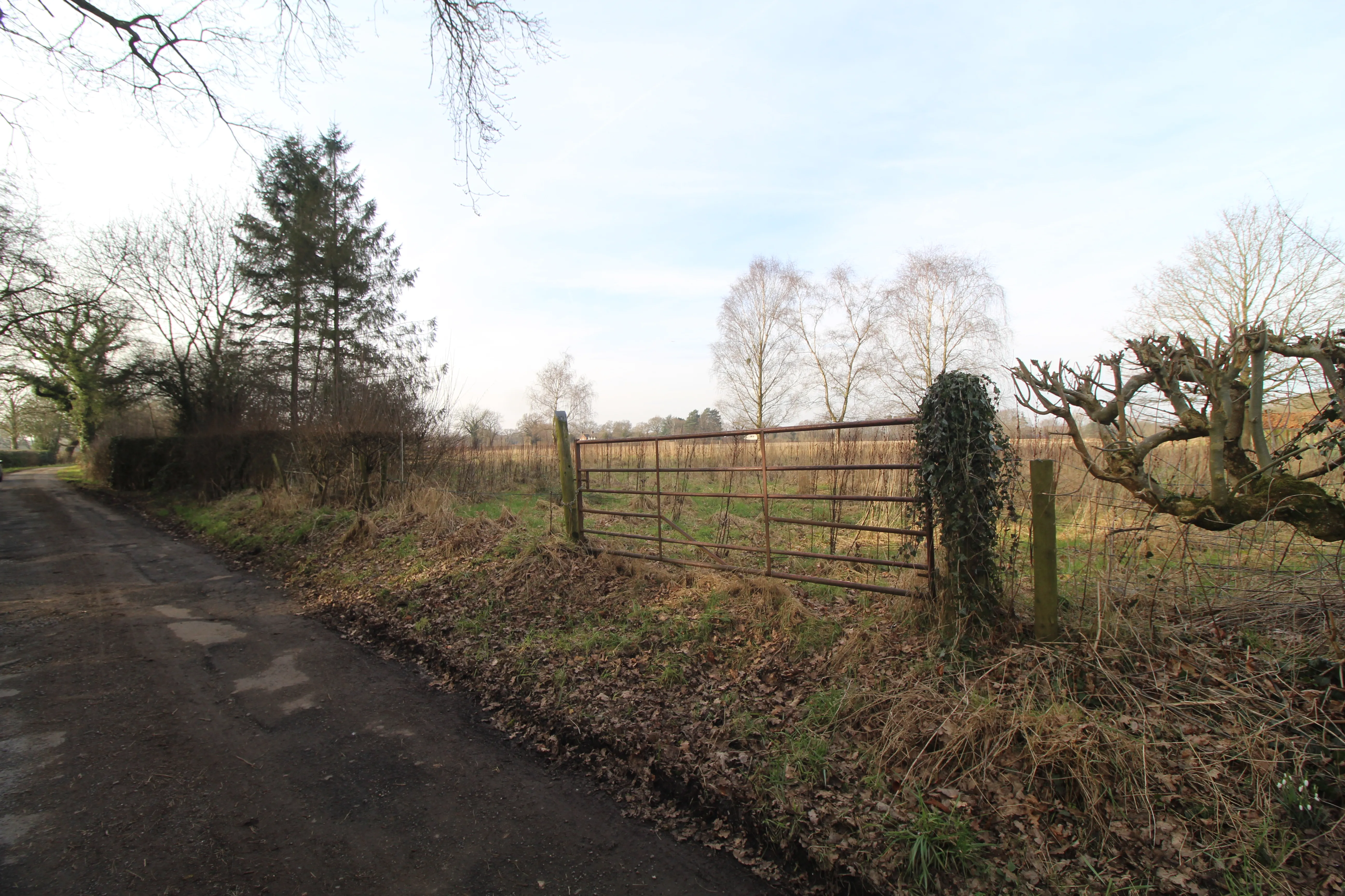 Land on Mill Lane, Lower Peover, Knutsford