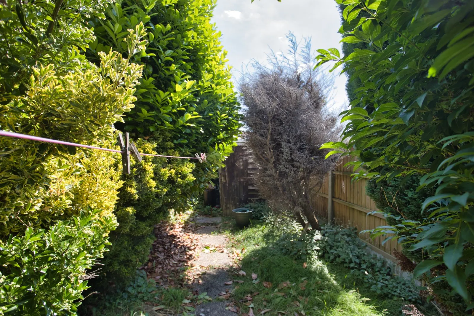 3 bed Terraced