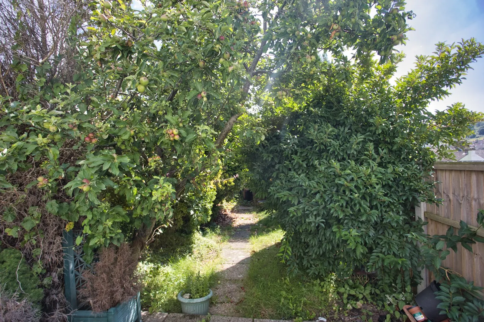 3 bed Terraced