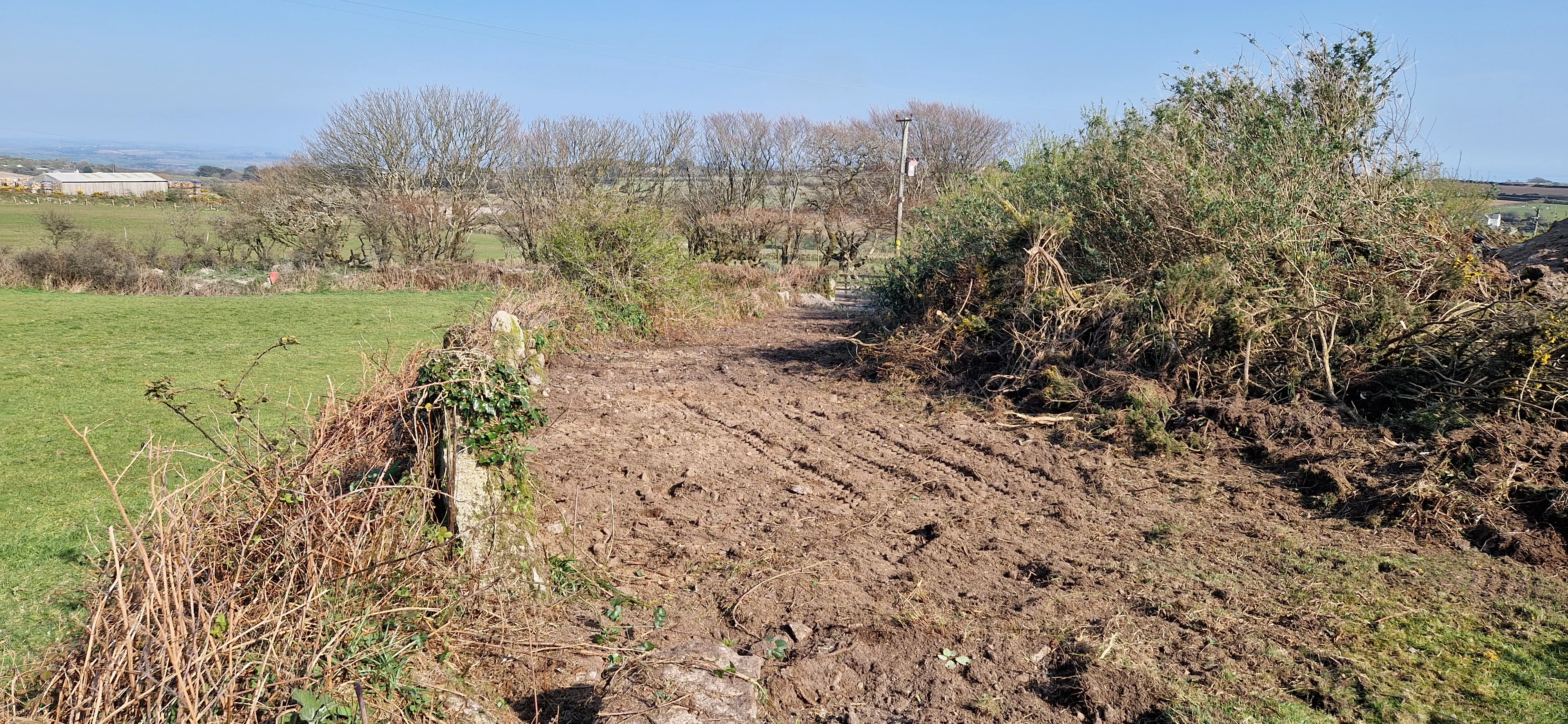 Farm Land