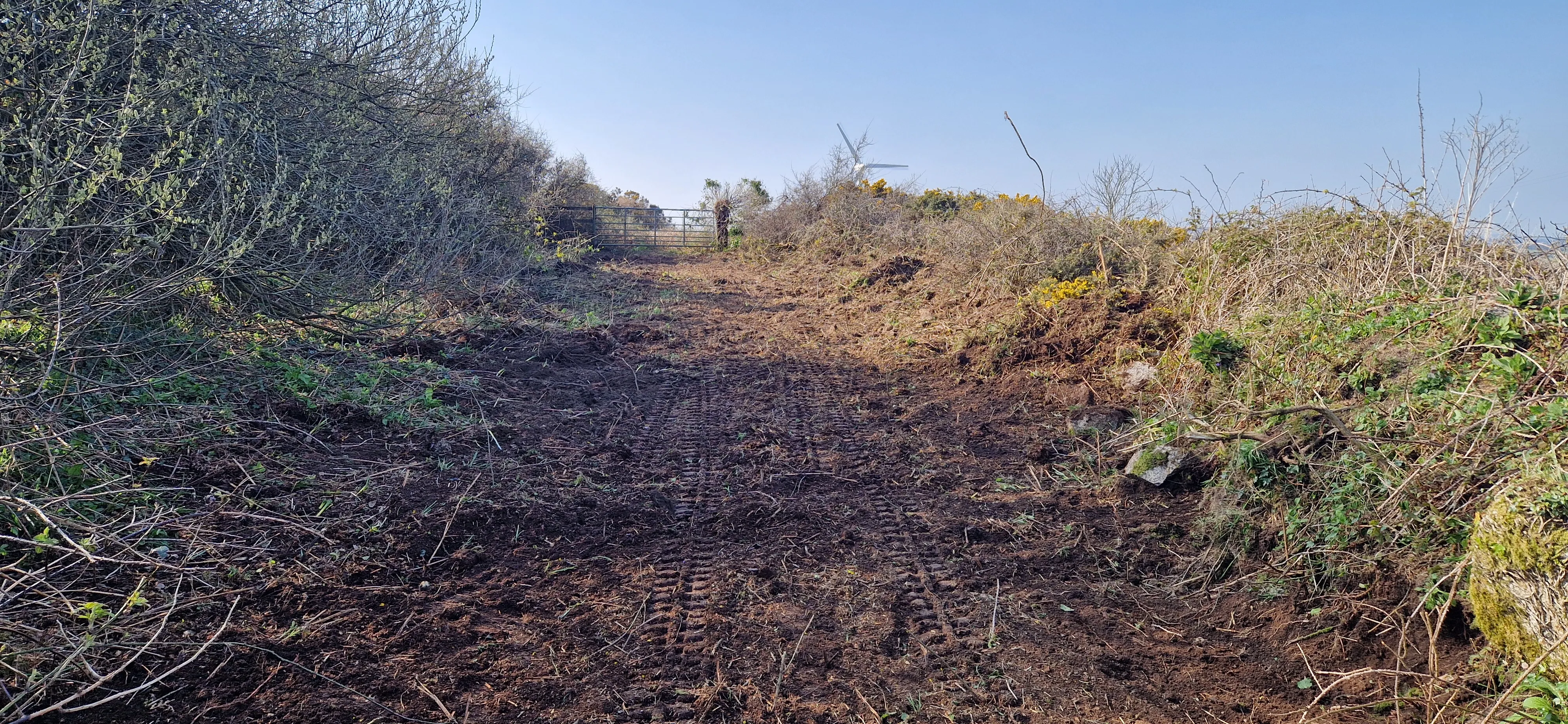 Farm Land