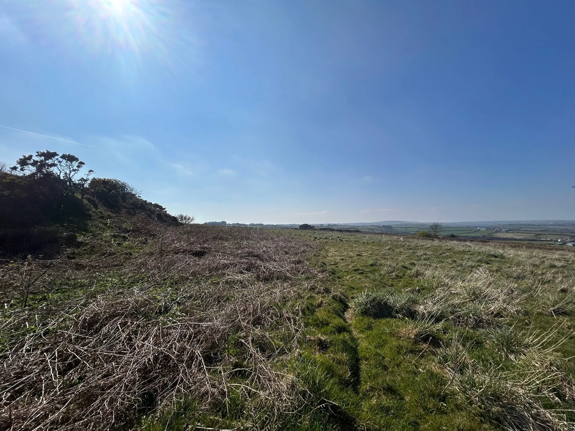 Farm Land
