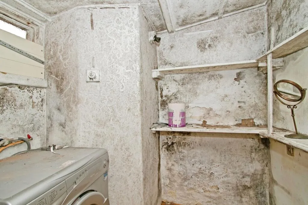 2 bed Character Property