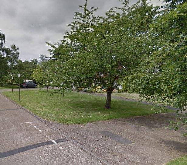 Land at Blunts Way and Cedar Close, Horsham, West Sussex, RH12 2BL