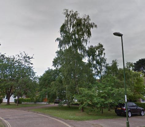 Land at Blunts Way and Cedar Close, Horsham, West Sussex, RH12 2BL