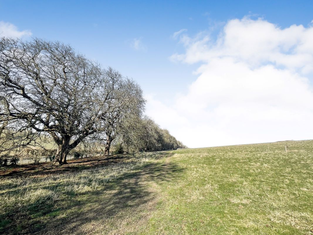 Land to the east of New Road, Berkhamsted, Hertfordshire, HP4 2PS