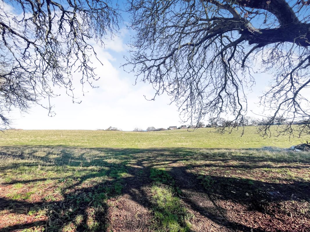 Land to the east of New Road, Berkhamsted, Hertfordshire, HP4 2PS