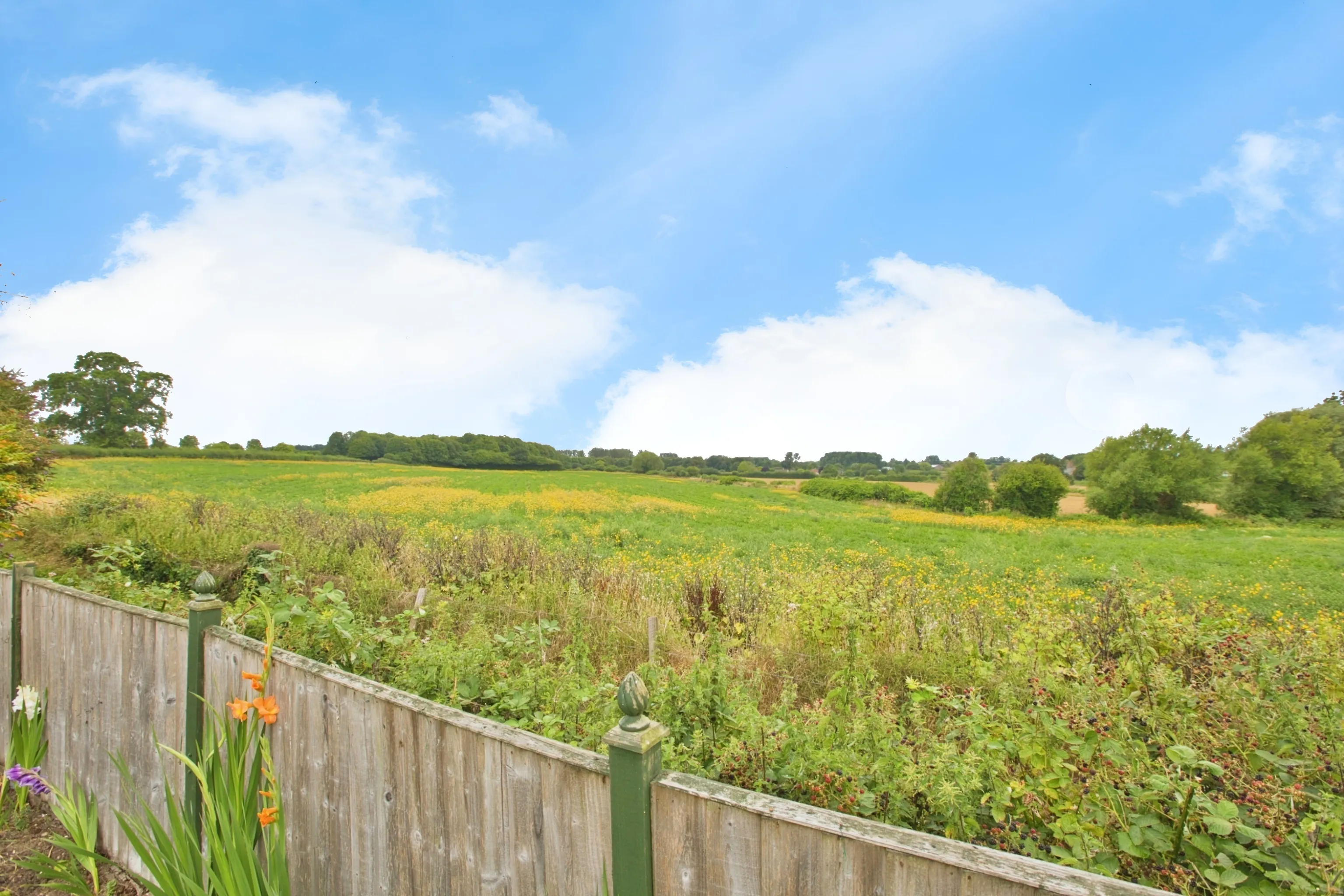 3 bed Detached Bungalow