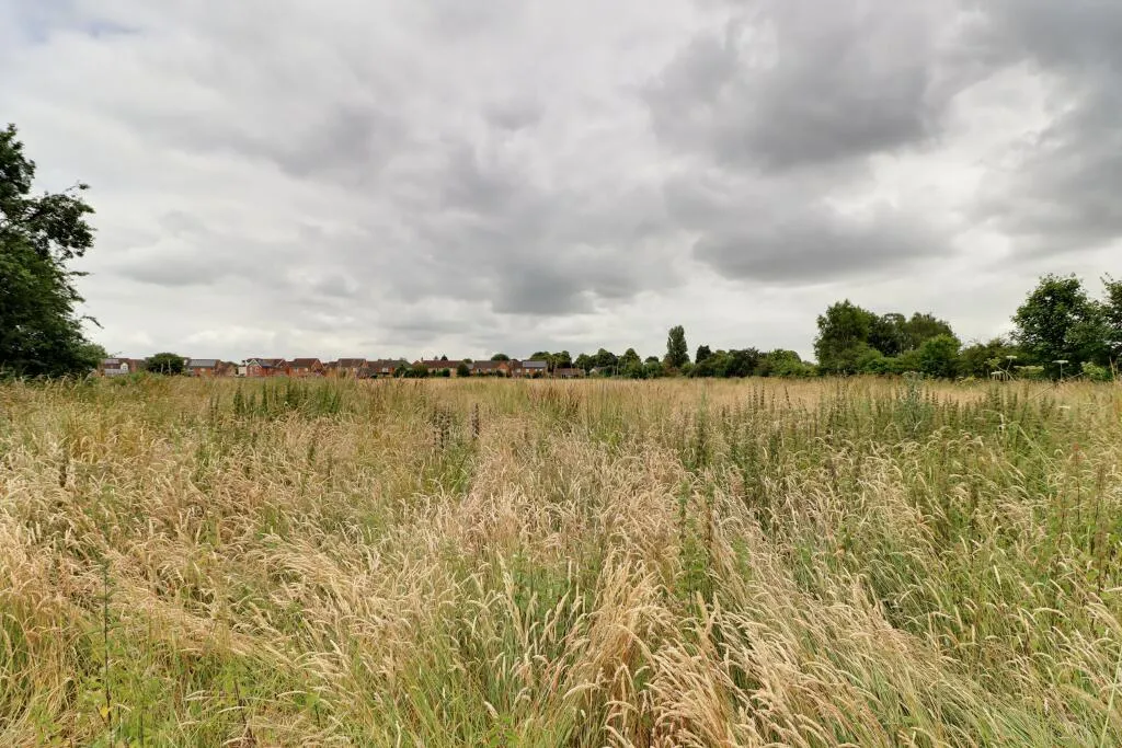 2 bed Detached Bungalow