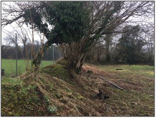 Land North of Cartref, Taylors Row, Hermon, Glogue, Dyfed, SA36 0DS