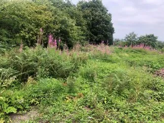 Approx. 1 Acre, Land Lying to the North of Heol Bryn Gwyn, Aberdare, CF44 9EY