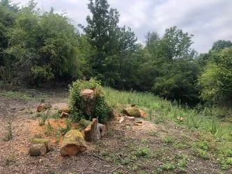 Approx. 1 Acre, Land Lying to the North of Heol Bryn Gwyn, Aberdare, CF44 9EY