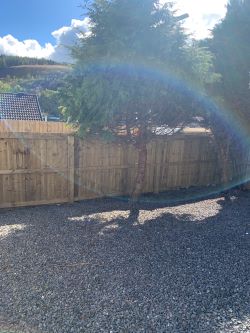 18 Clydach Road, Tonypandy, Mid Glamorgan, CF40 2BD