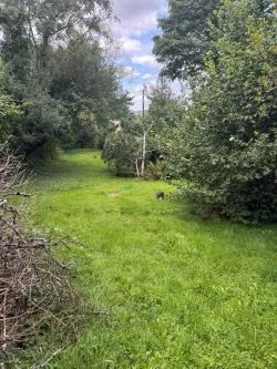 Greenwood Cottage, Reynalton, Kilgetty, Dyfed, SA68 0PE
