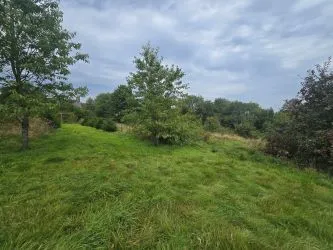 Blaencwm Bychan, Felingwm, Carmarthen, Dyfed, SA32 7QA