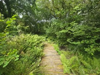 Blaencwm Bychan, Felingwm, Carmarthen, Dyfed, SA32 7QA
