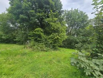 Blaencwm Bychan, Felingwm, Carmarthen, Dyfed, SA32 7QA
