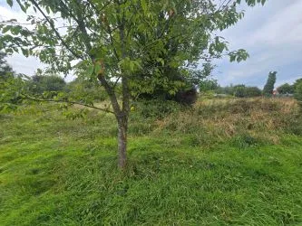Blaencwm Bychan, Felingwm, Carmarthen, Dyfed, SA32 7QA