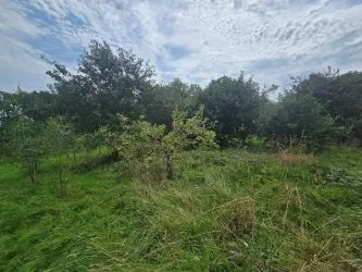 Blaencwm Bychan, Felingwm, Carmarthen, Dyfed, SA32 7QA