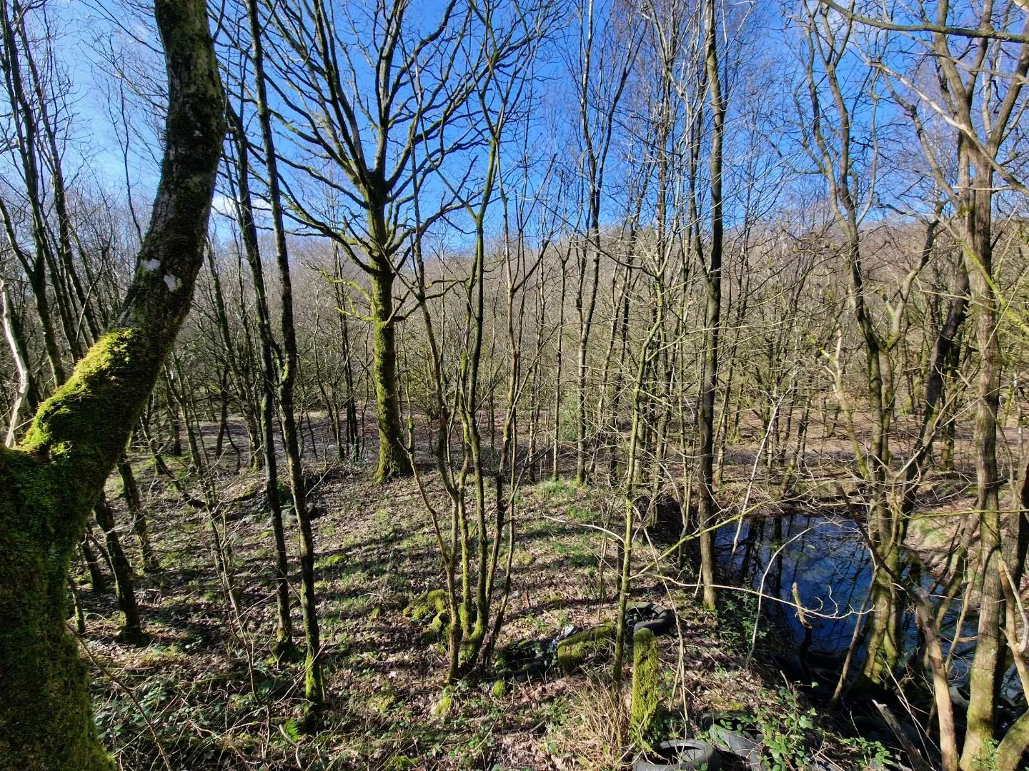 Land at Bevis Green Works Mill, Bury, BL9 6RE