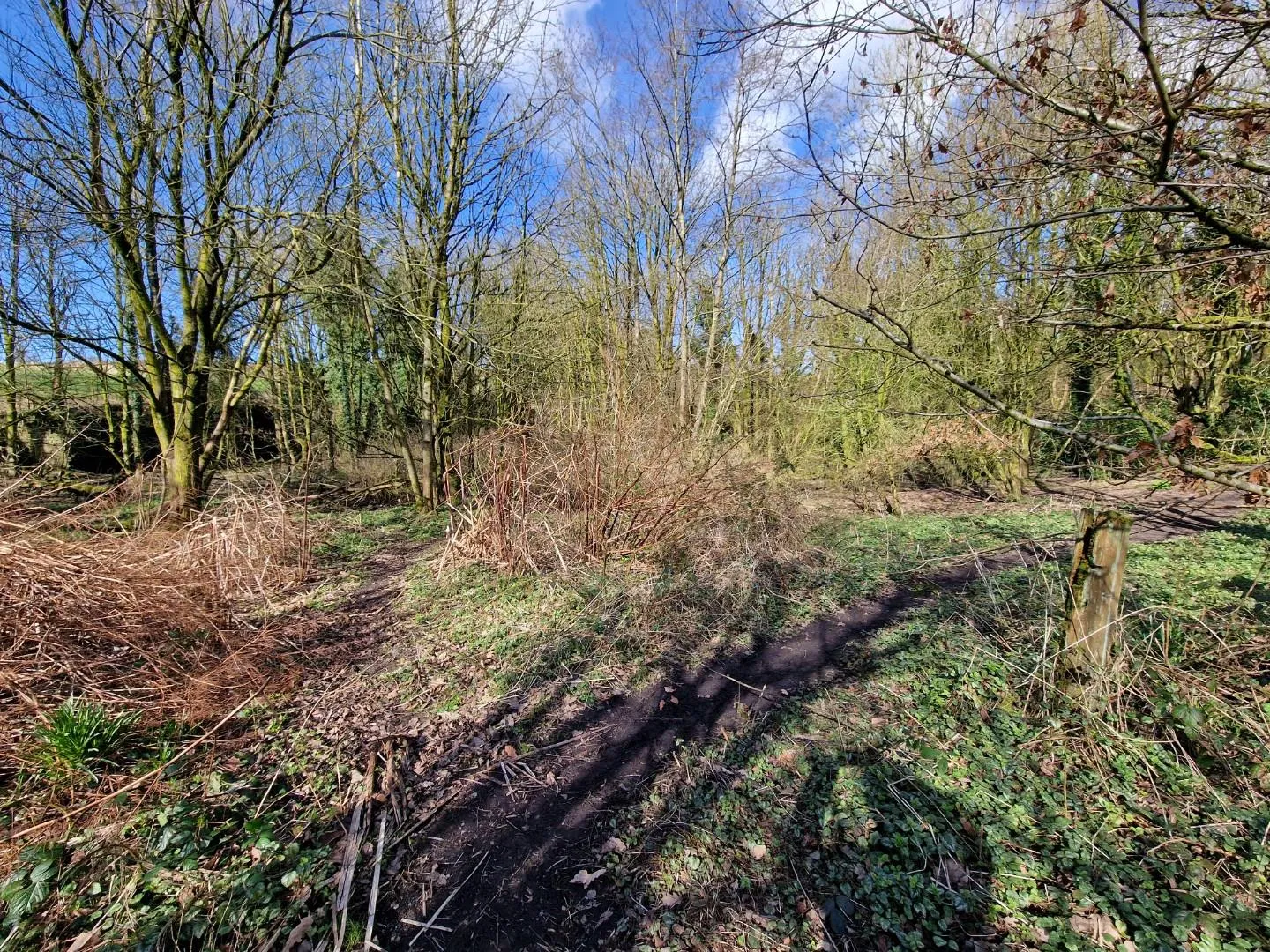 Land at Bevis Green Works Mill, Bury, BL9 6RE