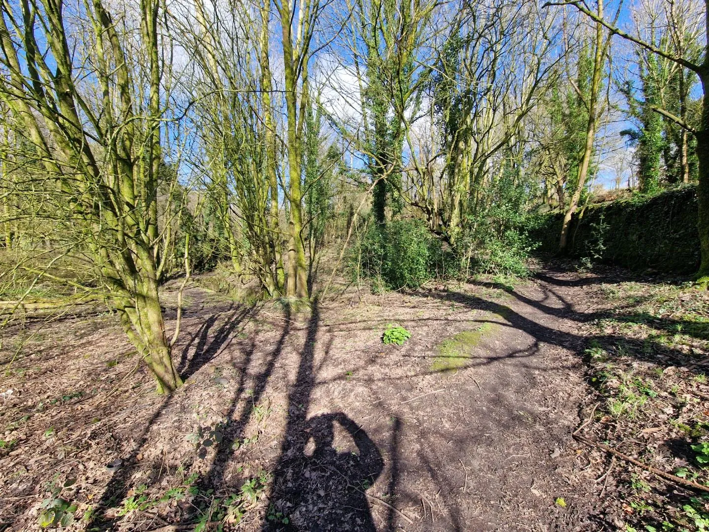 Land at Bevis Green Works Mill, Bury, BL9 6RE