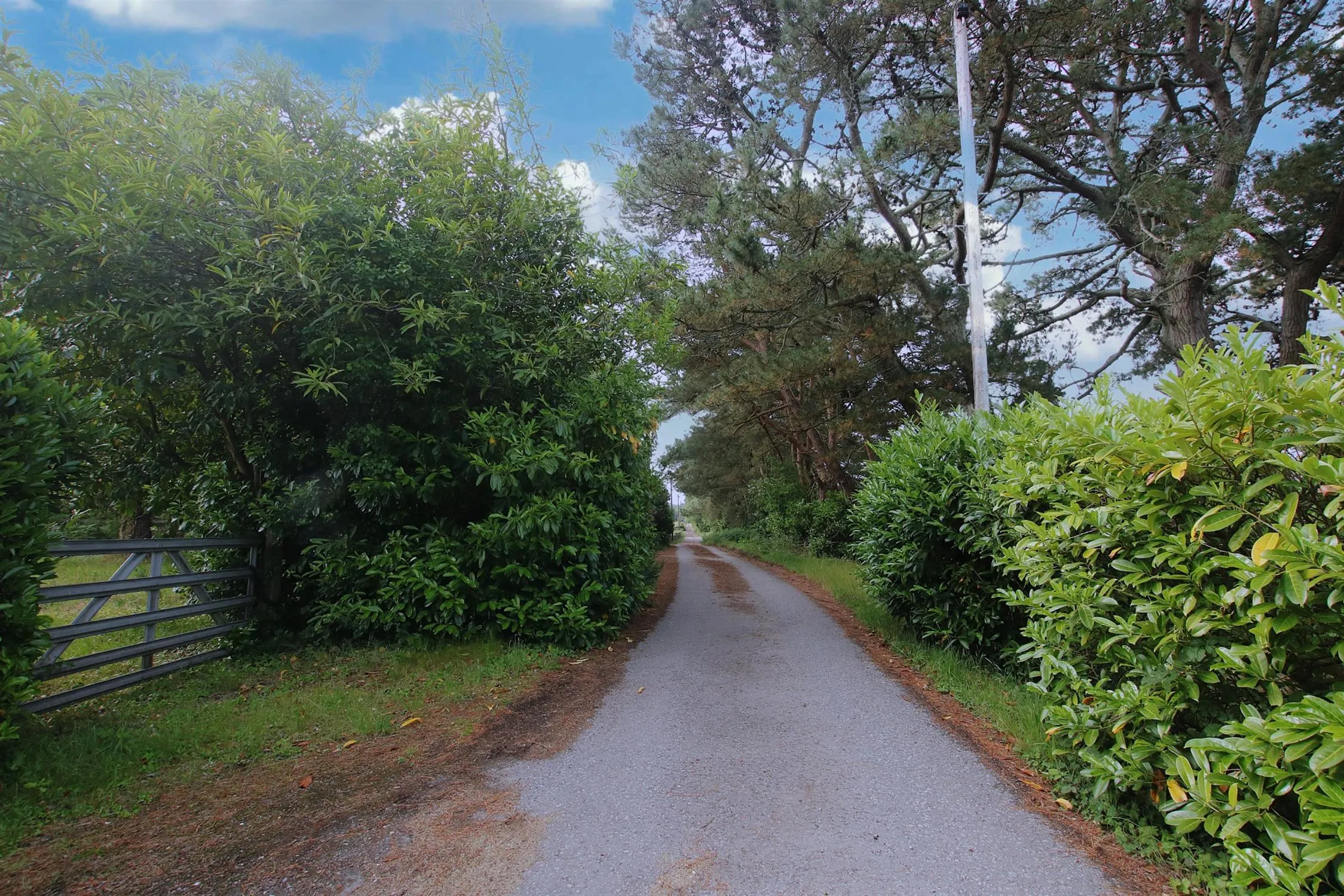 t Leonards, Ringwood, 0 Bedroom Property from Pearsons Estate Agents