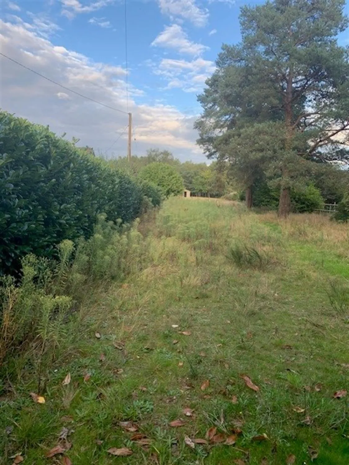 t Leonards, Ringwood, 0 Bedroom Property from Pearsons Estate Agents