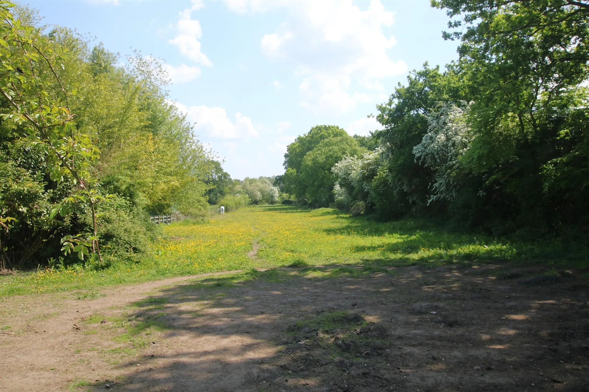 West Wellow, Romsey, 0 Bedroom Property from Pearsons Estate Agents