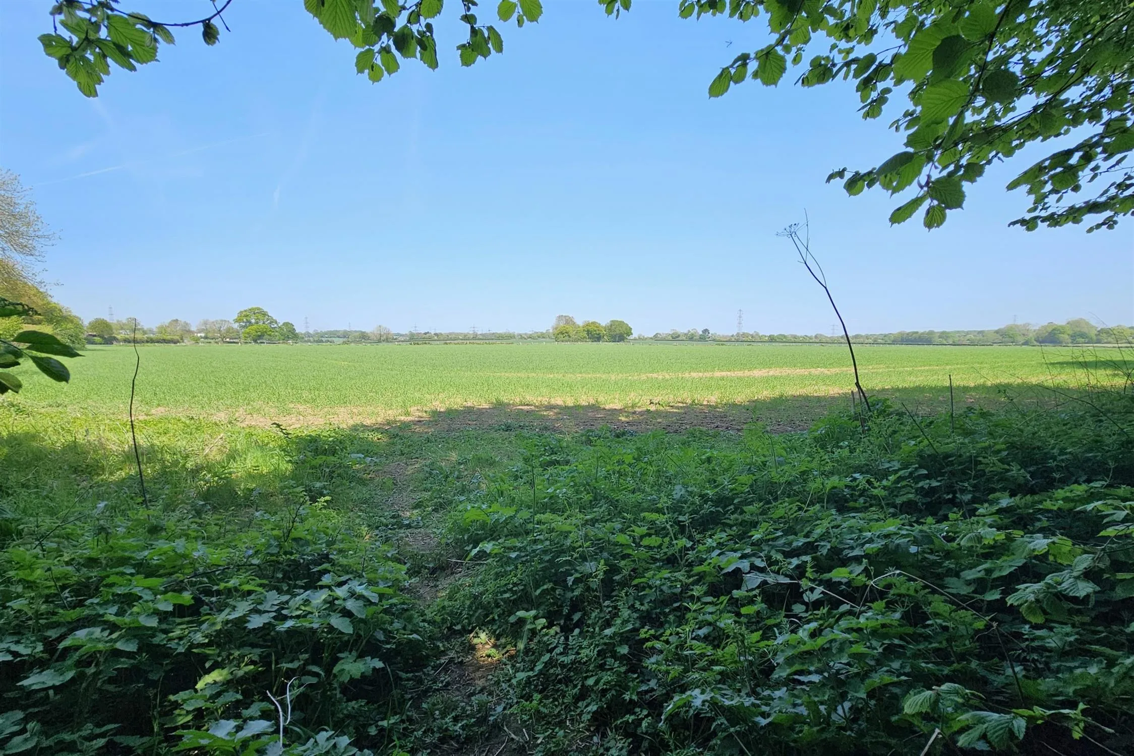 Edneys Lane, Denmead, 3 Bedroom Property from Pearsons Estate Agents