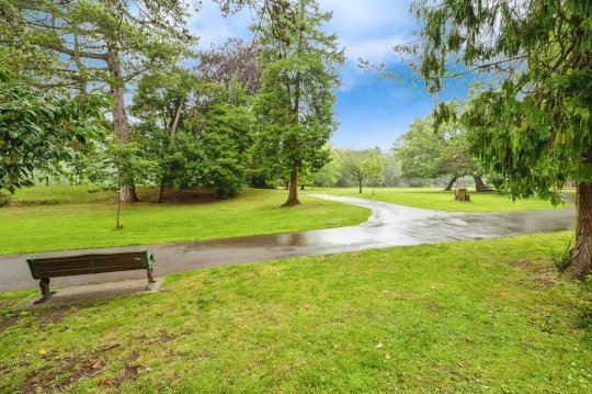 Oakwood Road, Brynmill, Swansea